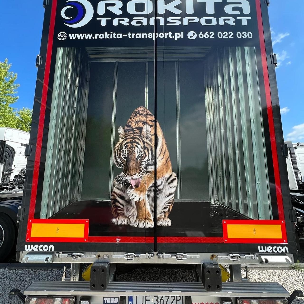 Wydruk wielkoformatowej grafiki reklamowej z motywem tygrysa na folię — realizacja dla firmy Rokita Transport